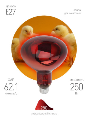 Инфракрасная лампа для обогрева животных и освещения Эра ИКЗК 220-250 R127 Б0055442