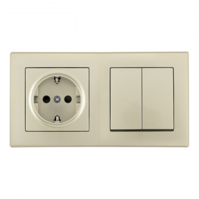 Выключатель двухклавишный с розеткой Arte Milano SET06-2-30-2-40-1 shampan