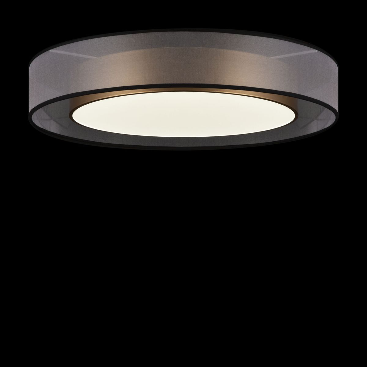 Потолочный светильник Freya Zoticus FR6005CL-L48G