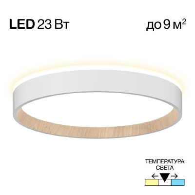 Потолочный светильник Citilux Etalon CL750240