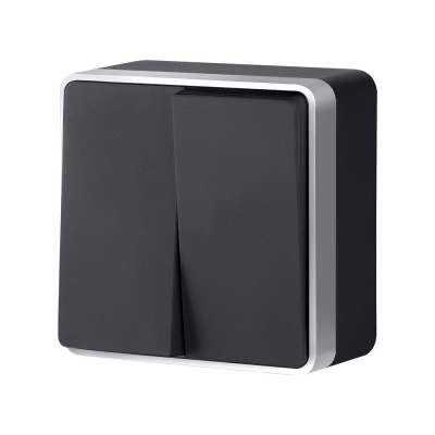 Выключатель двухклавишный Werkel Gallant (черный с серебром) W5020034 4690389164156 a051142