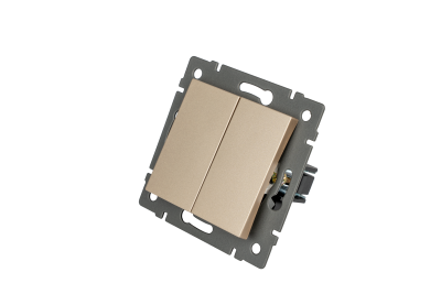 Механизм выключателя двухклавишный самовозвратный Arlight SWT-MKR2-PL-GD-V (250V, 10A) 049886