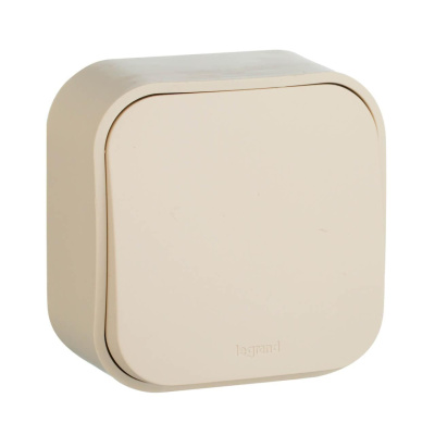 Выключатель одноклавишный кнопочный Legrand Quteo 6A 250V слоновая кость 782235