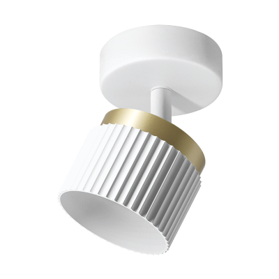 Накладной спот WOLTA Muse WSL-GX53/19WG-2