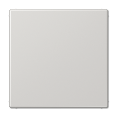 Заглушка Jung LS990 LS994BLG