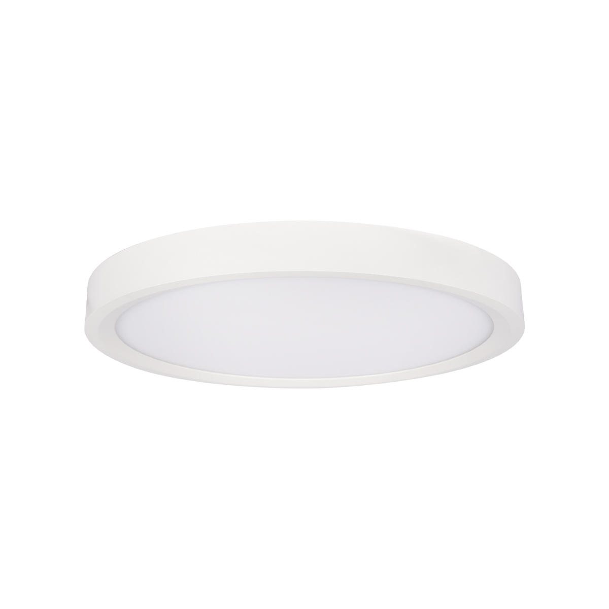 Потолочный светильник Loft IT Extraslim 10227/24 White