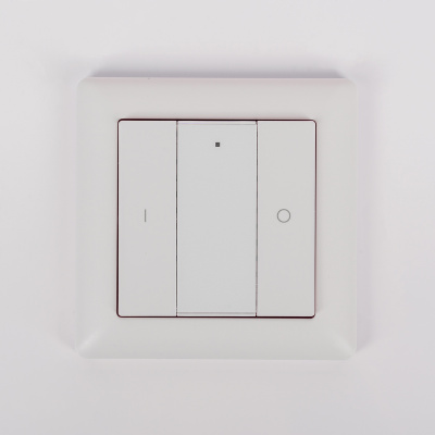 Настенная радиопанель SWG ES-B-W-K2-Z1 013295