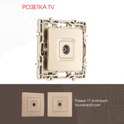 Розетка TV Arte Milano 217.43-1.shampan