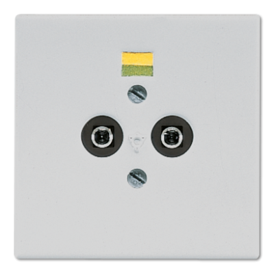 Розетка штепсельная для выравнивания потенциалов Jung LS965-2LG