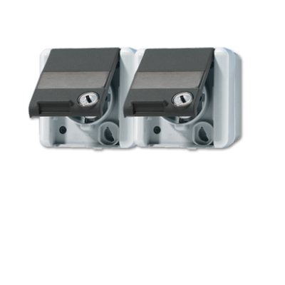 Розетка Schuko двухместная Jung 8220NAWSL