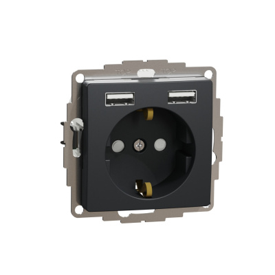 Розетка с заземлением и USB Schneider Electric SDD114052