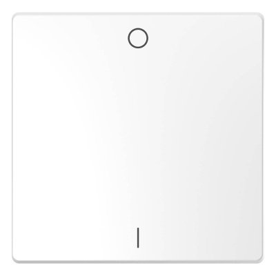 Клавиша одинарная Schneider Electric Merten D-Life MTN3301-6035