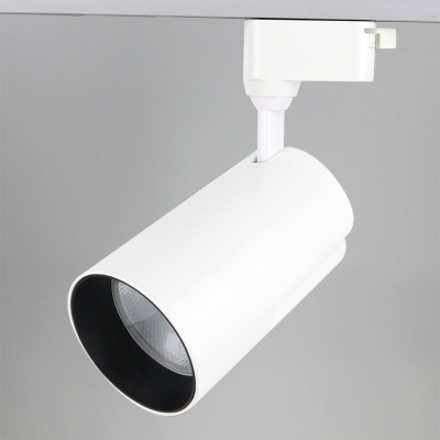 Трековый однофазный светильник General GTR-25-1-IP40-S-W-4 580043