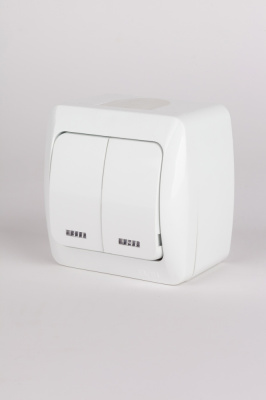 Выключатель двухклавишный с подсветкой ELBI Alsu 504-010200-203