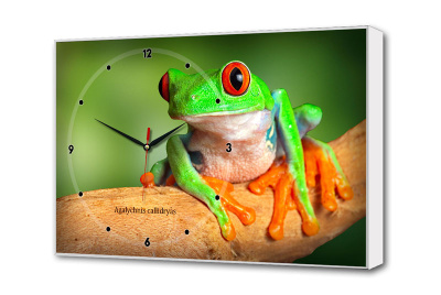 Настенные часы Зеленная лягушка Timebox Toplight 37х60х4см TL-C5023