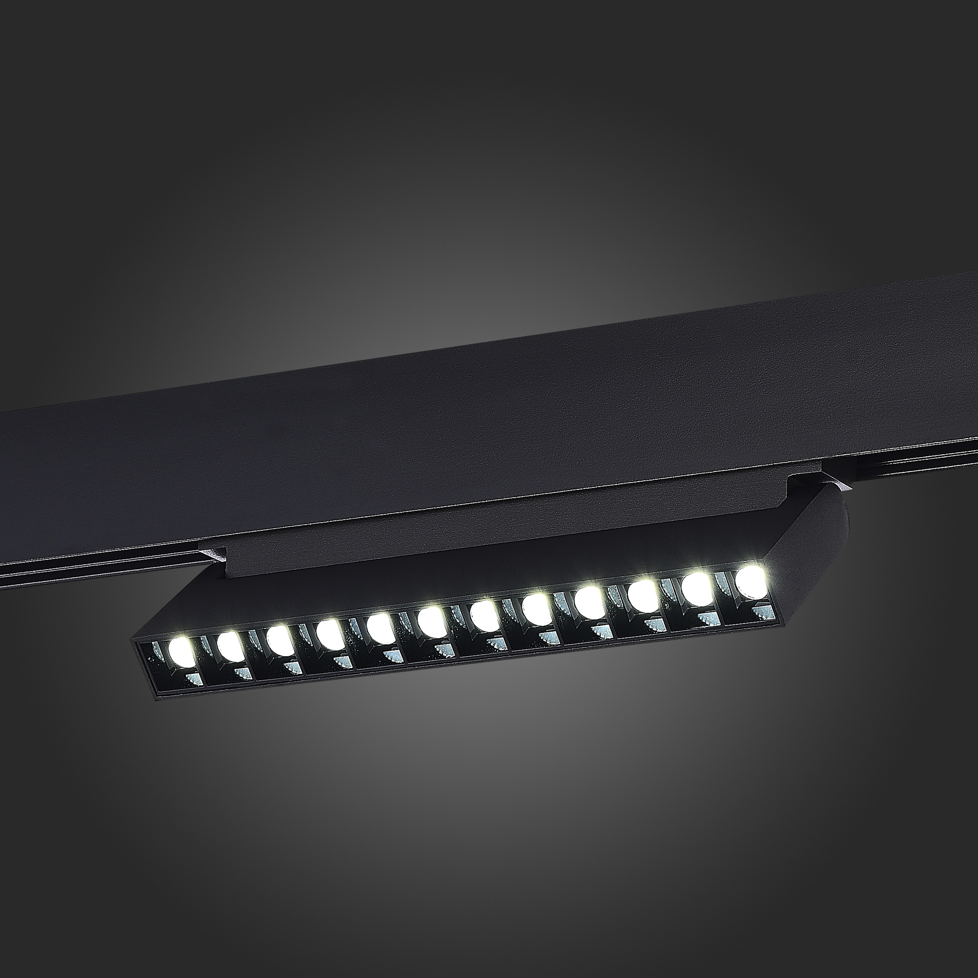 Трековый светильник ST Luce Skyline 48 ST372.406.12