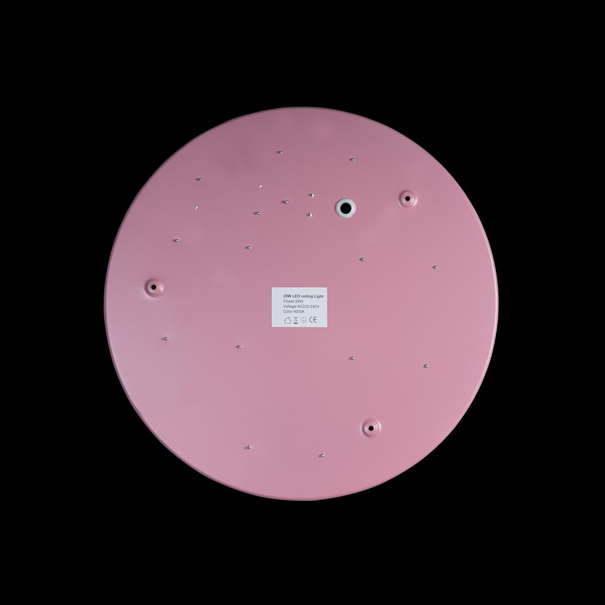 Потолочный светильник Loft IT AXEL 10002/24 Pink