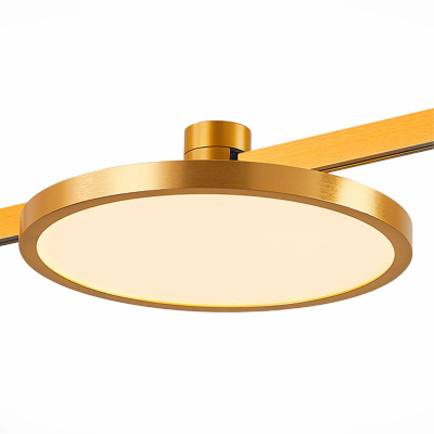 Трековый магнитный светильник ST Luce Farm ST818.246.12