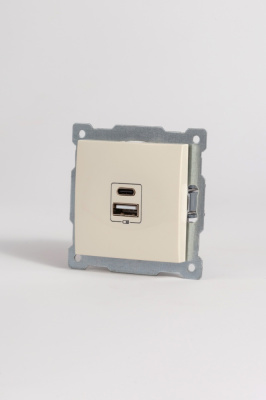 Розетка с двумя разъемами USB + Tupe C+A ELBI Zena Vega 609-010300-335