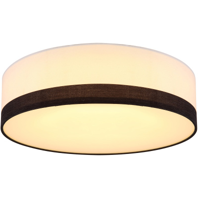 Потолочный светильник Globo Maggy 15385D1