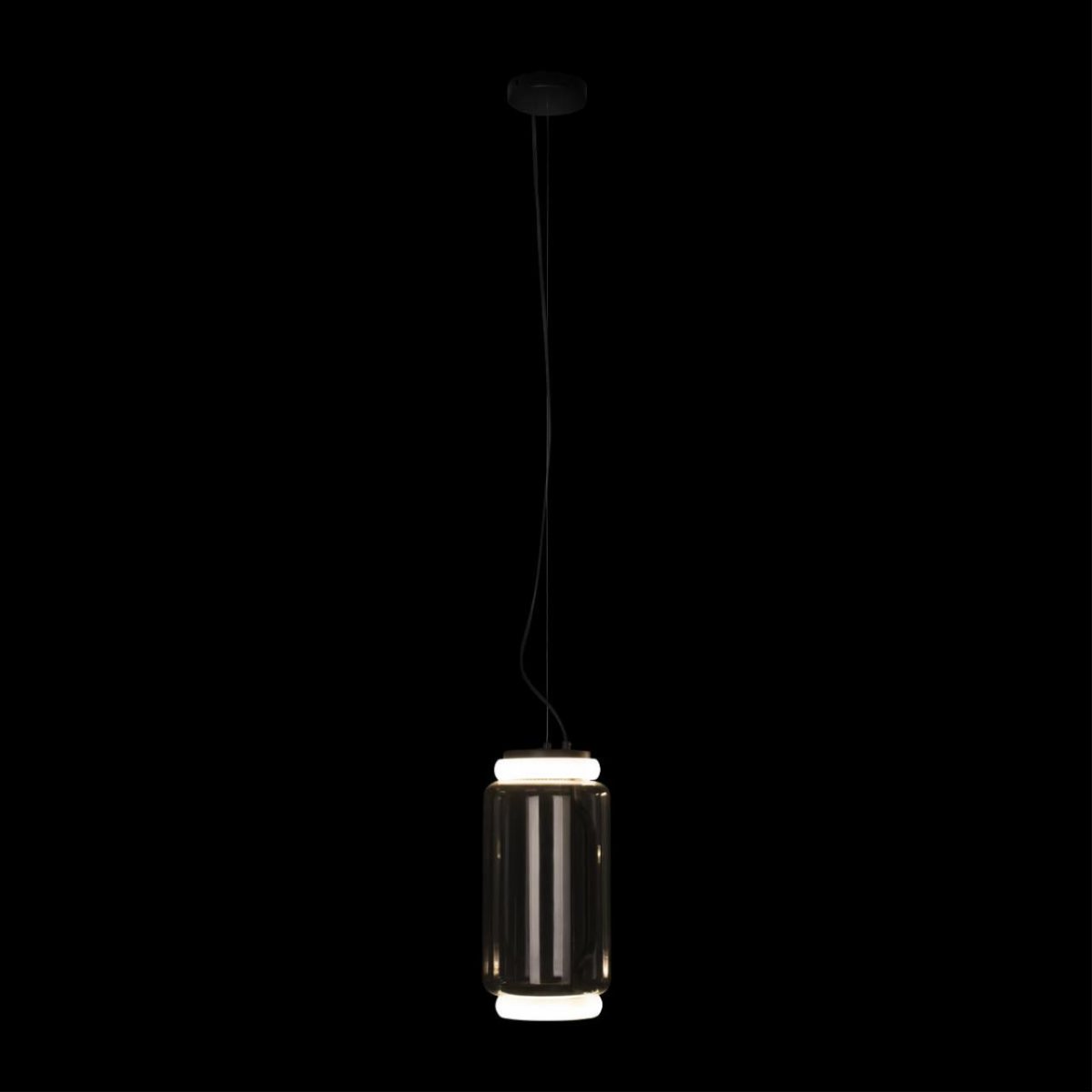 Подвесной светильник Loft IT Noctambule 10194/S
