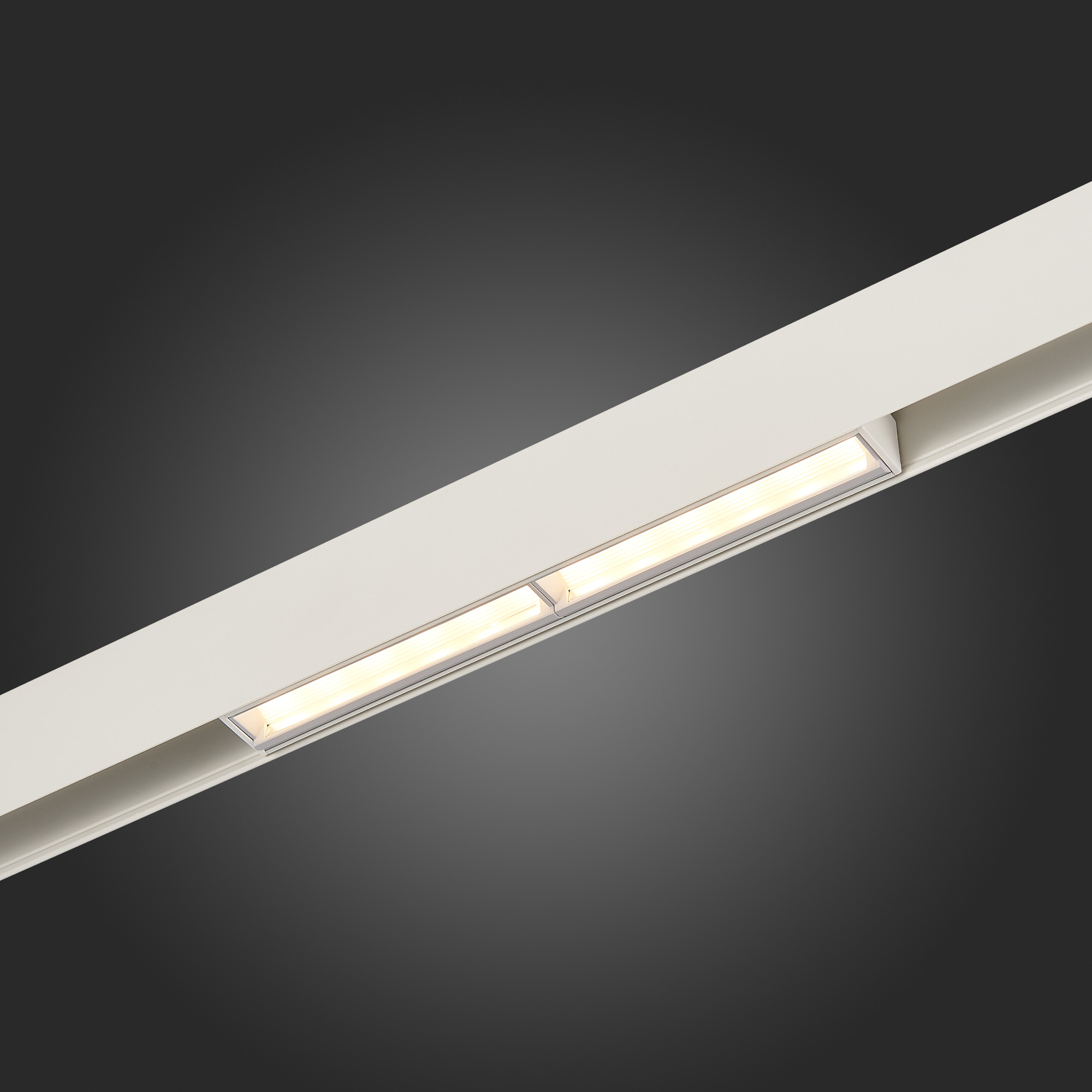 Трековый светильник ST Luce Skyline 48 ST804.536.12