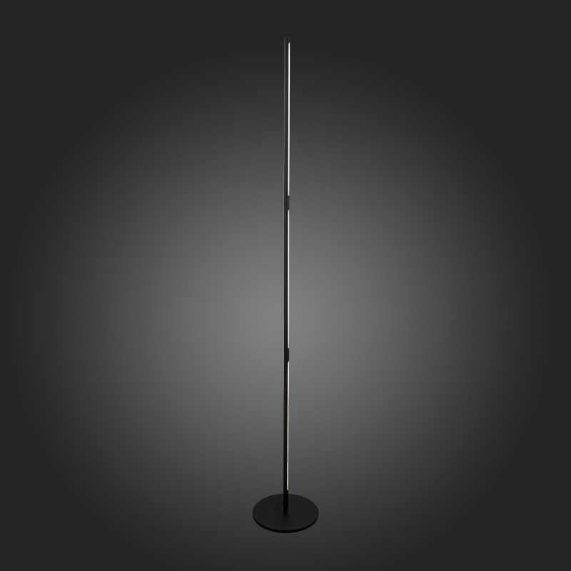 Торшер ST-Luce SL1580.405.01