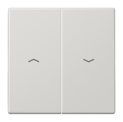 Клавиша для жалюзийного выключателя JUNG LS 990 LS995PLG