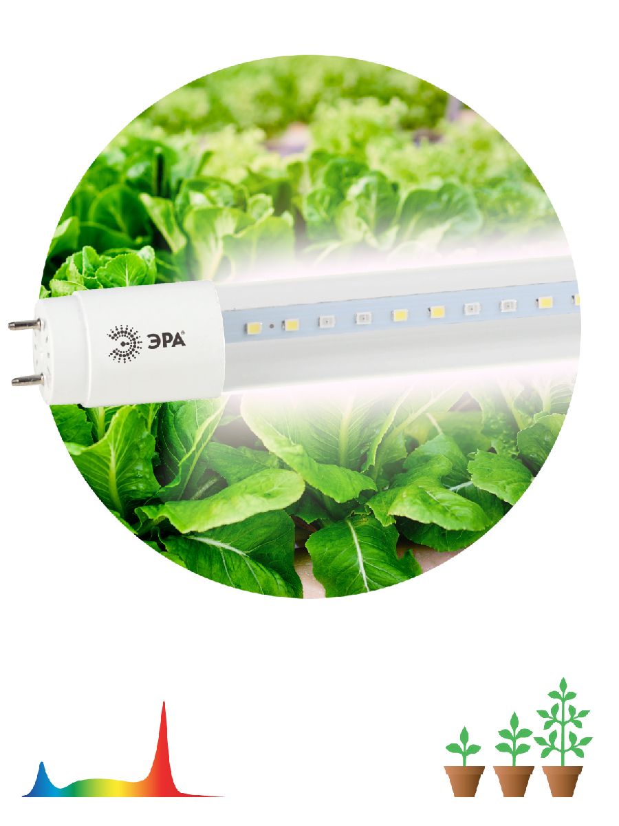 Фитолампа для растений светодиодная Эра G13 18W 1200K FITO-18W-Ra90-Т8-G13-NL Б0042987