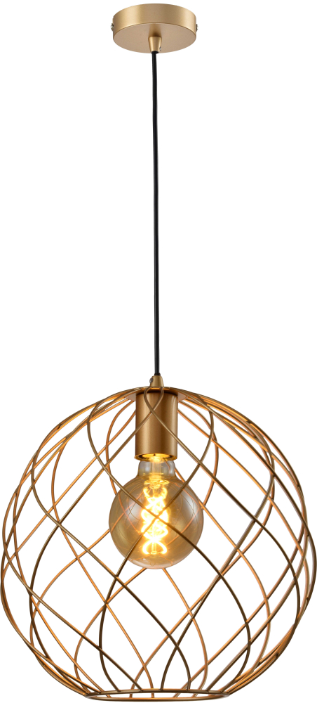Подвесной светильник Toplight Janis TL1190H-01GD