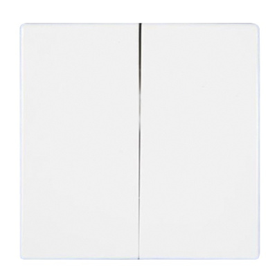 Клавиша для выключателя двухклавишного JUNG EcoProfi EP495WW