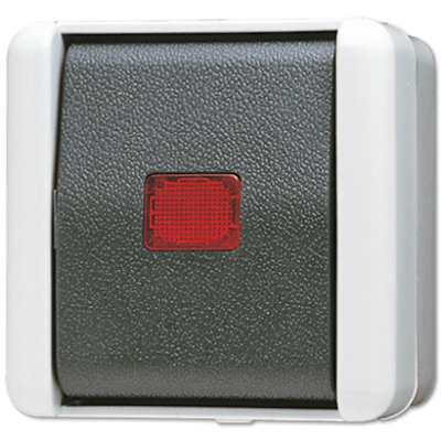 Выключатель одноклавишный Jung 806KOW