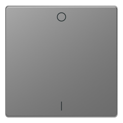 Клавиша одинарная Schneider Electric Merten D-Life MTN3301-6036