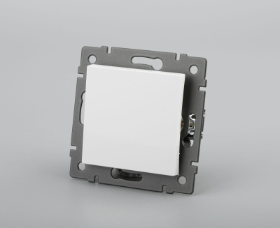 Механизм выключателя одноклавишный самовозвратный Arlight SWT-MKR1-PL-WH-V (250V, 10A) 049879