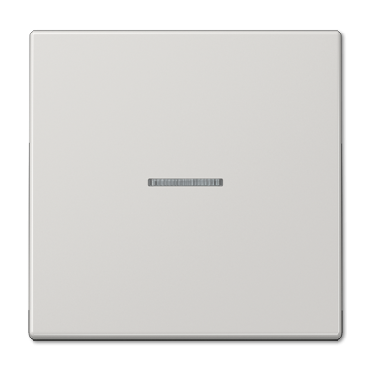 Клавиша 1-ная с линзой Jung LS990 LS990KO5LG