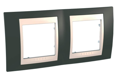 Рамка 2-постовая Schneider Electric Unica Хамелеон MGU6.004.571