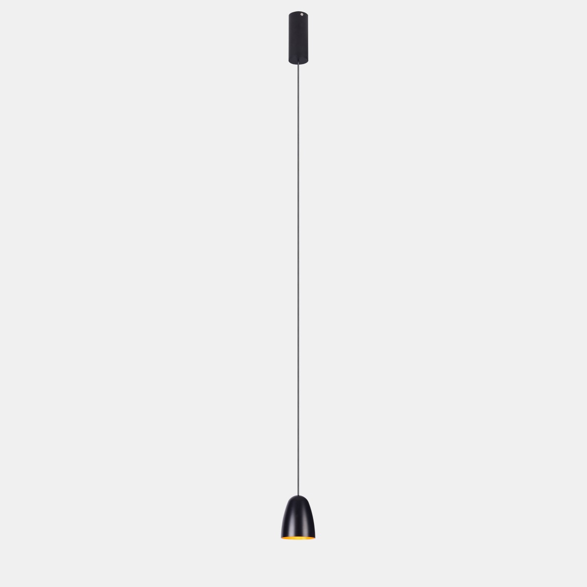 Подвесной светильник Delight Collection 184 P0184-75A black/gold