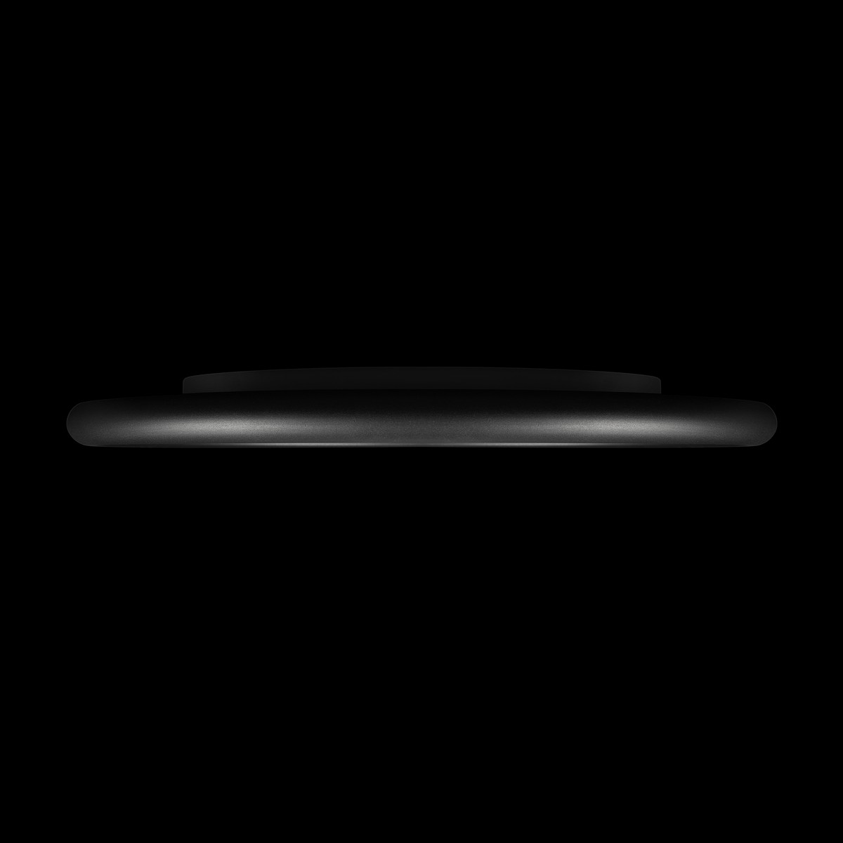 Потолочный светильник  LOFT IT Sweety 10454/500 Black
