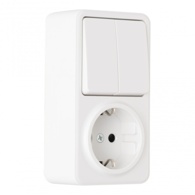 Розетка с заземлением и шторками + выключатель двухклавишный Arte Milano 310.53-1.white