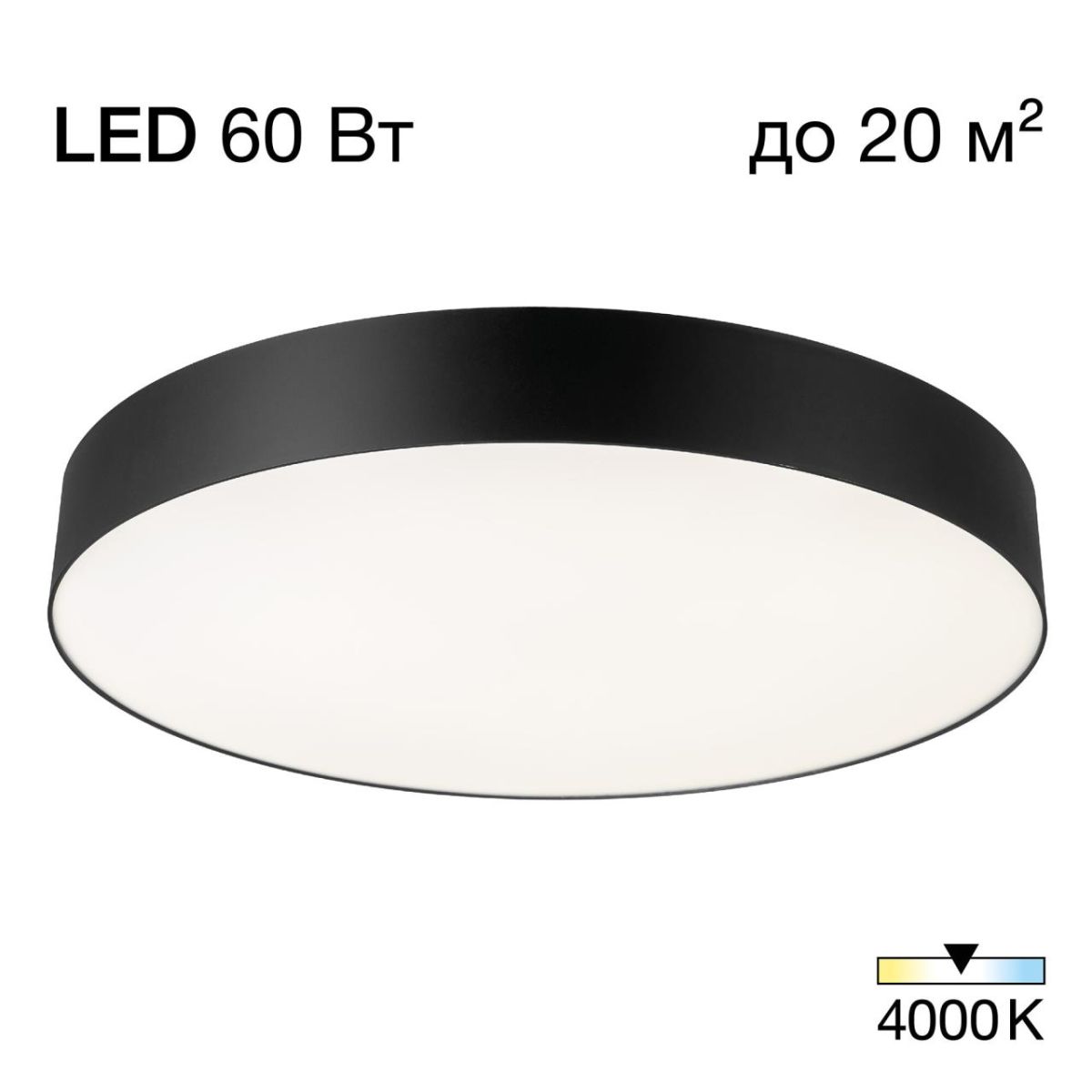 Потолочный светильник Citilux Bart CL755491