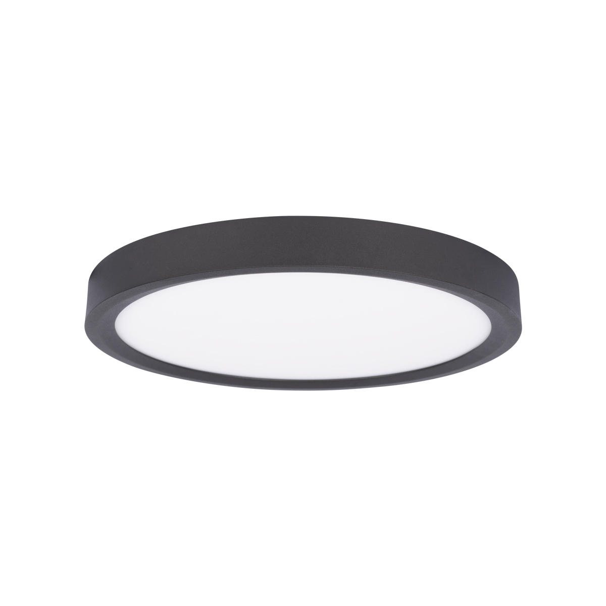 Потолочный светильник Loft IT Extraslim 10227/24 Black