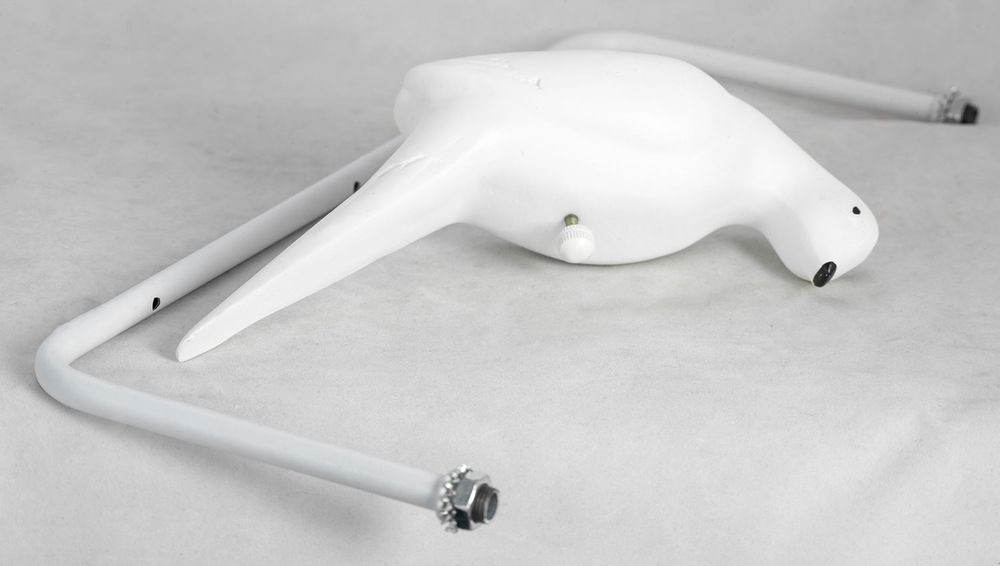 Подвесной светильник Lussole LGO DOVE GRLSP-8221