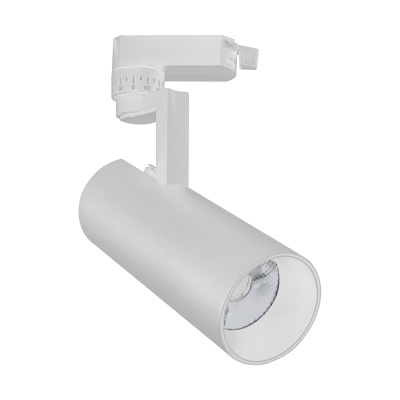 Трековый светодиодный светильник Escada 20029TRA/01LED SWH