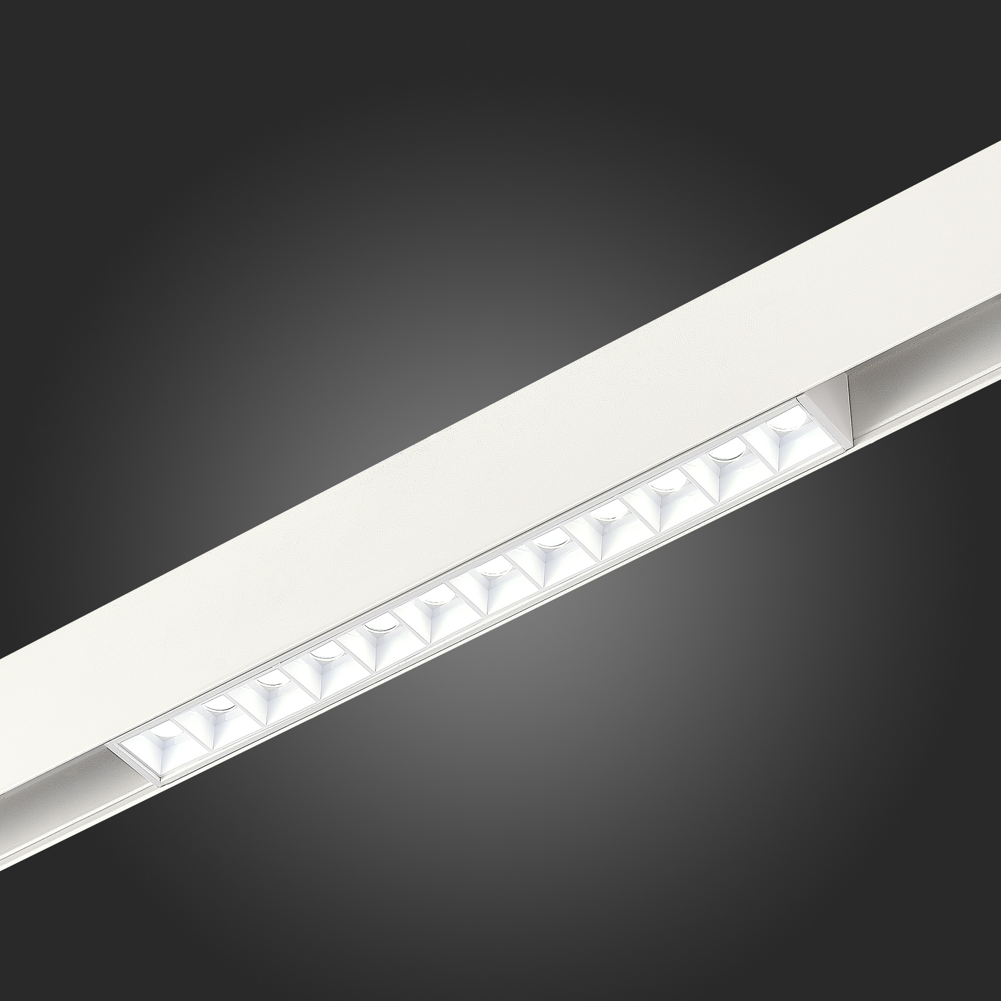 Трековый светильник ST Luce Skyline 48 ST371.506.12