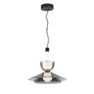 Подвесной светильник Aployt Daga APL.772.16.12