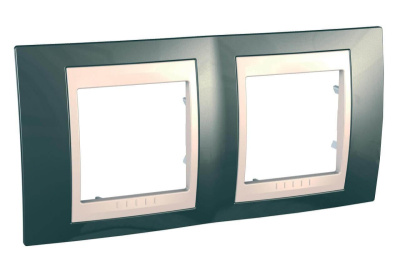 Рамка 2-постовая Schneider Electric Unica Хамелеон MGU6.004.524