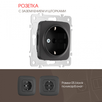 Розетка с заземлением и шторками Arte Milano 205.40-1.black