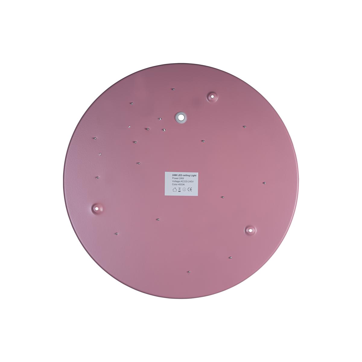 Потолочный светильник Loft IT AXEL 10003/24 Pink