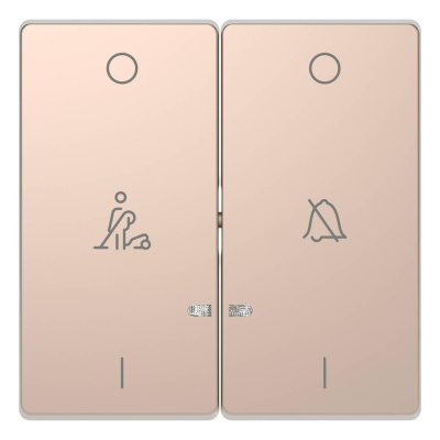 Клавиша двойная Schneider Electric Merten D-Life MTN3429-6051