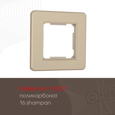 Рамка одноместная Arte Milano 502.16-1.shampan